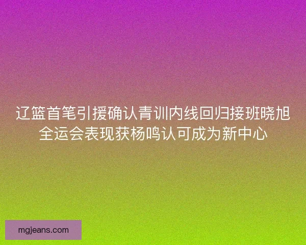 辽篮首笔引援确认青训内线回归接班晓旭全运会表现获杨鸣认可成为新中心